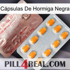 Cápsulas De Hormiga Negra new13